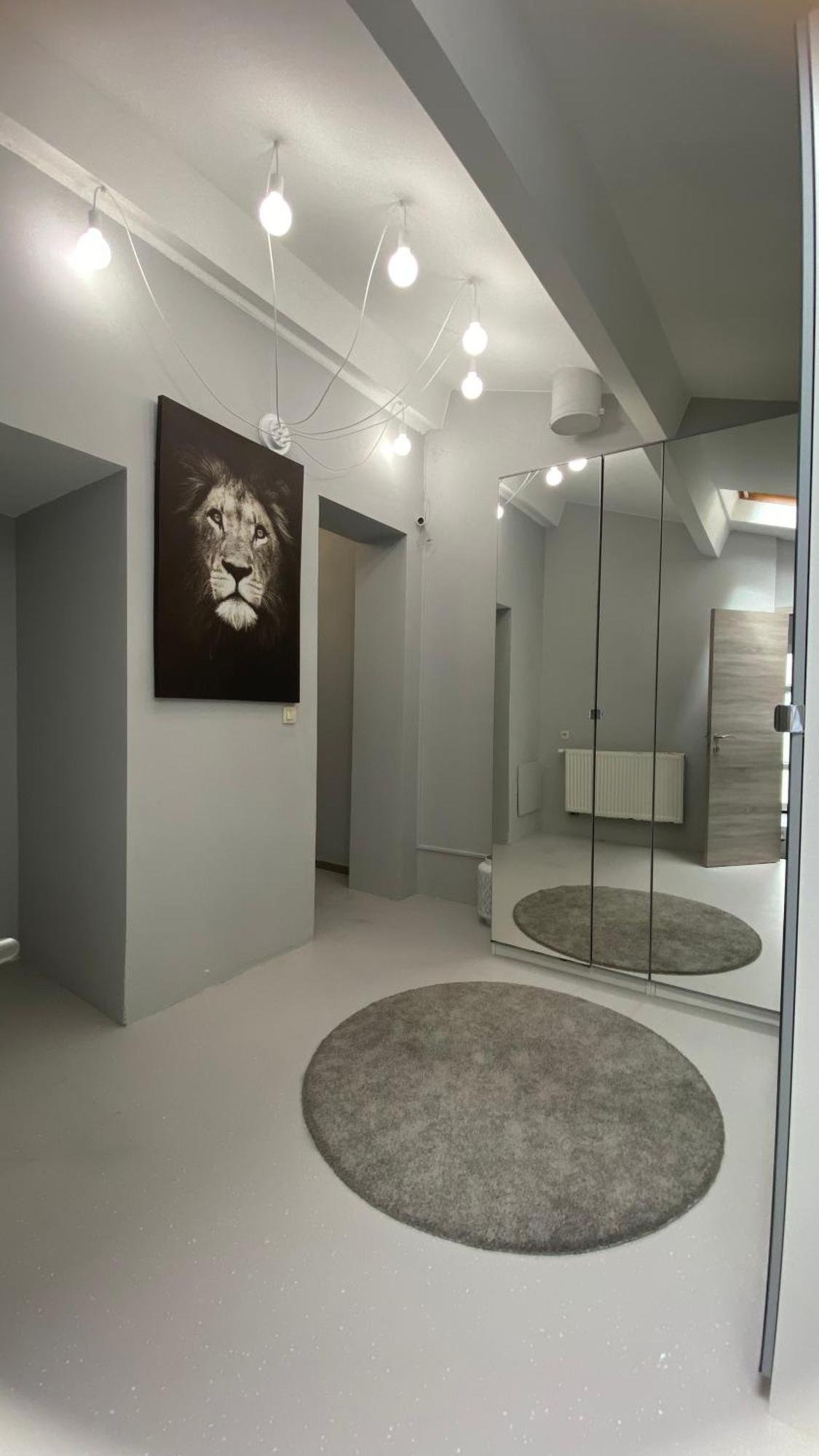 Next2Airport - Appartement House Of Lions Ransart Ngoại thất bức ảnh